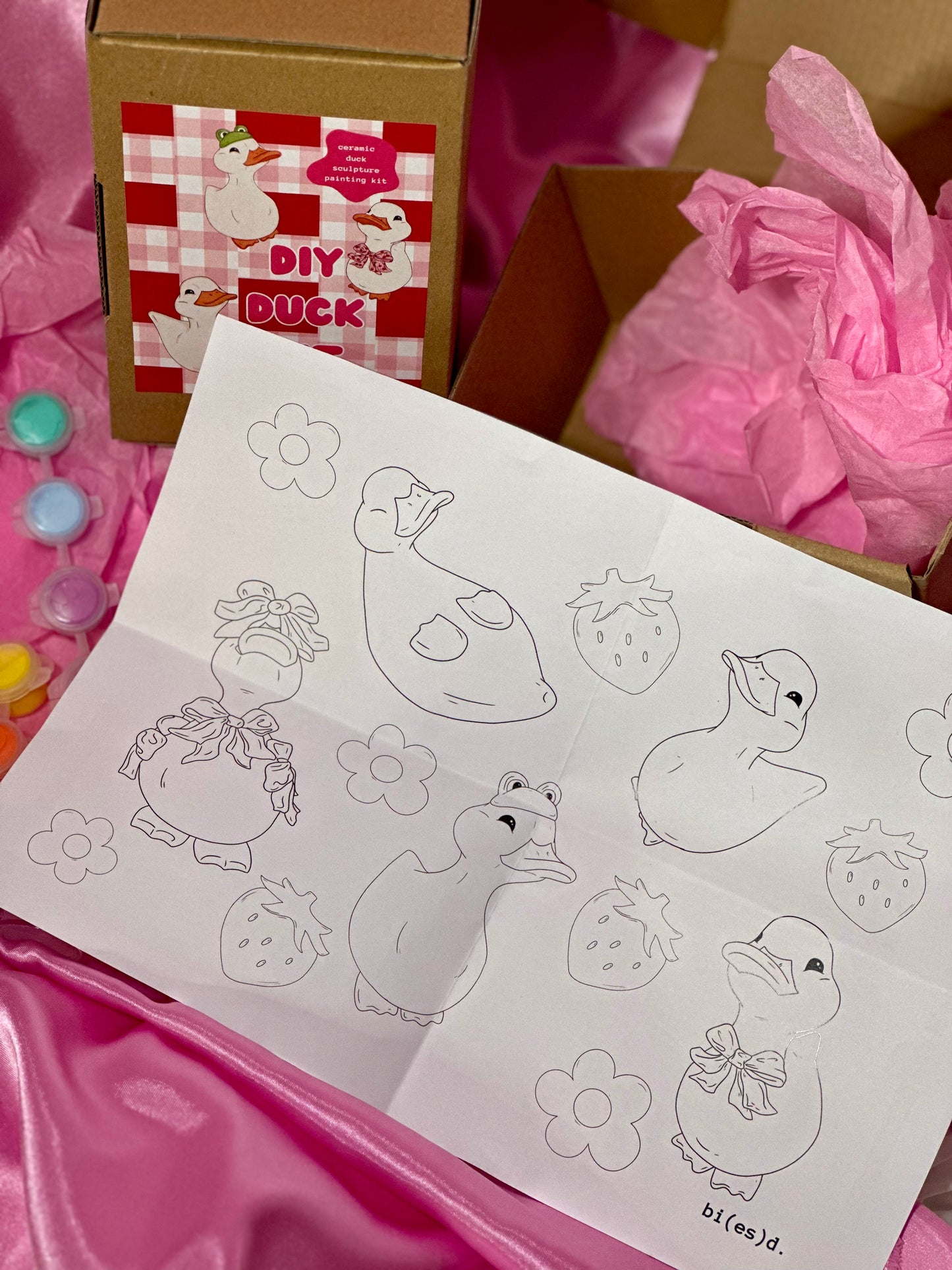 preorder: DIY duck painting kit