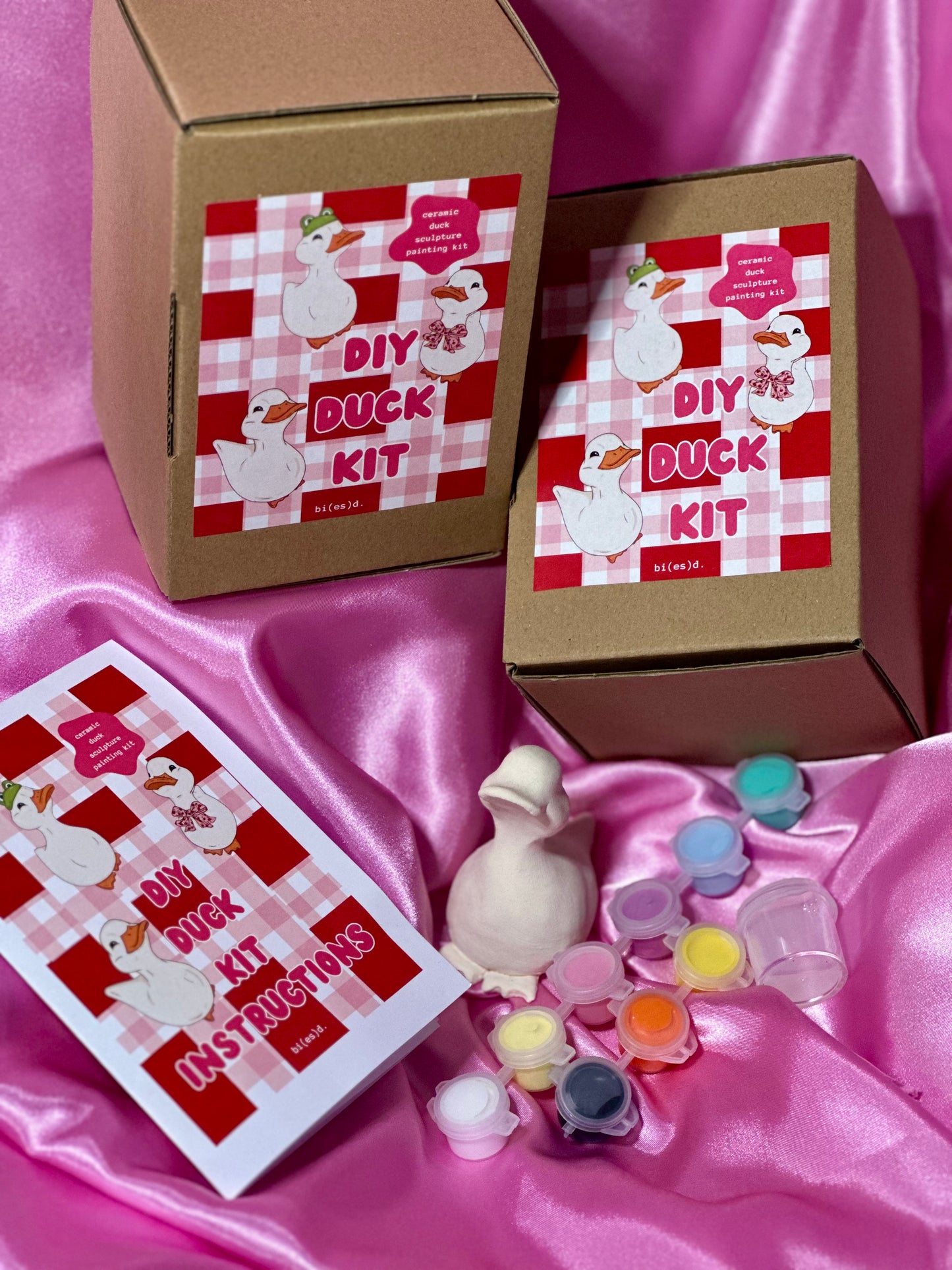 preorder: DIY duck painting kit