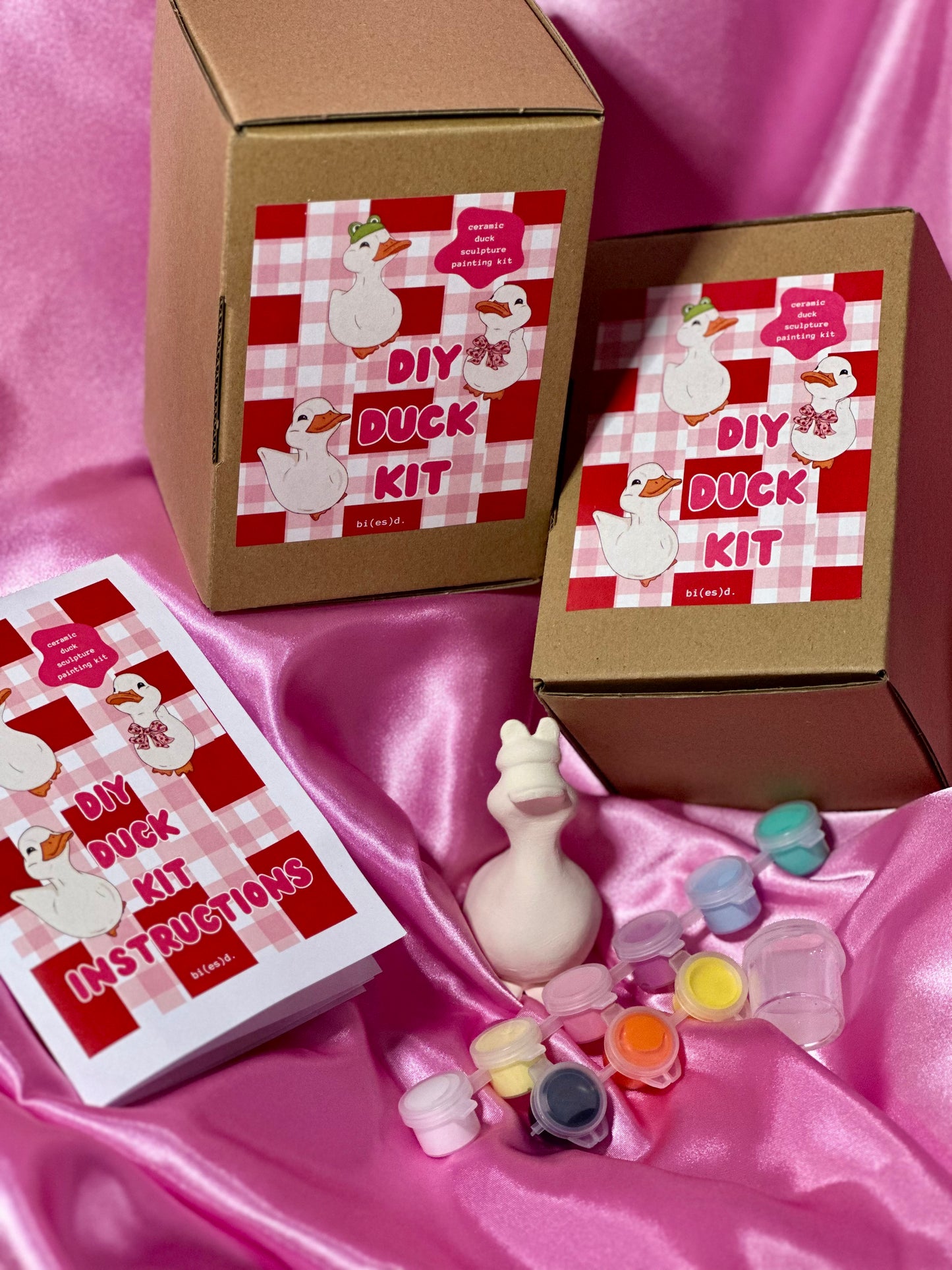 preorder: DIY duck painting kit