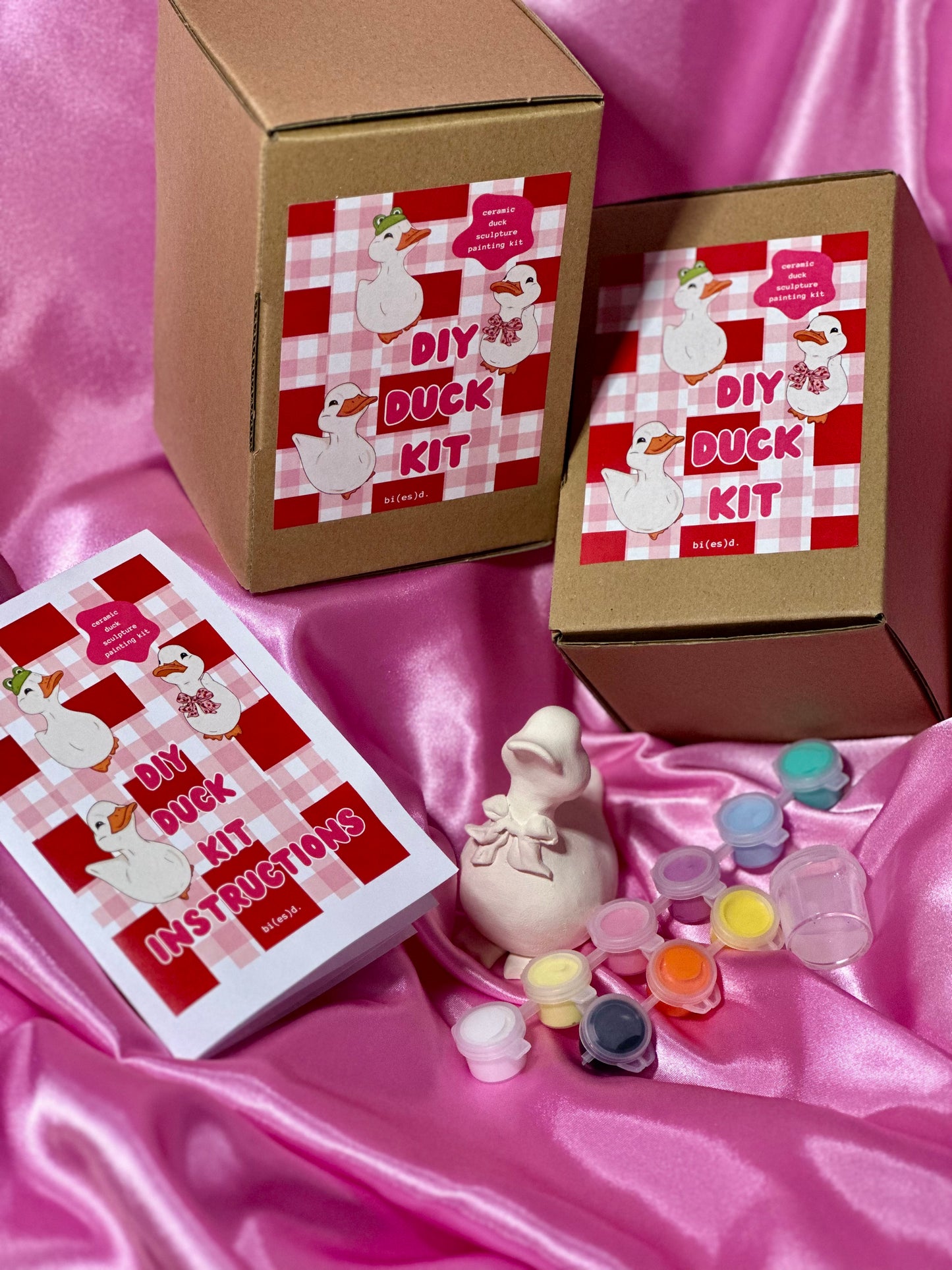 preorder: DIY duck painting kit