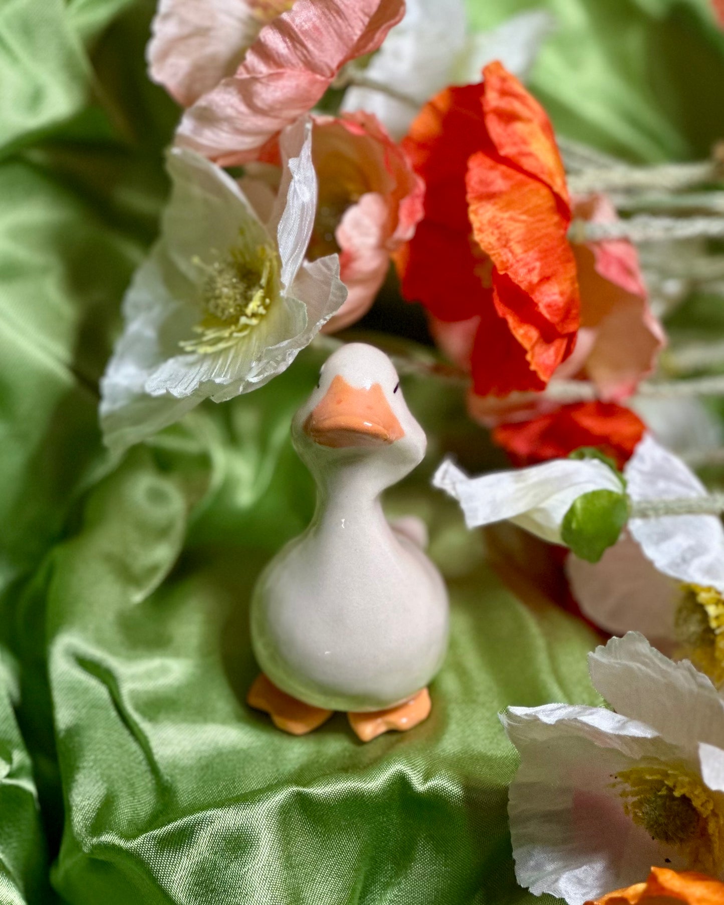 adopt a duck: sammy no.136