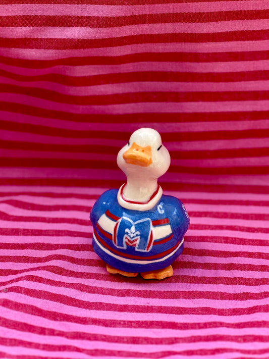 adopt a duck: hollander no.395