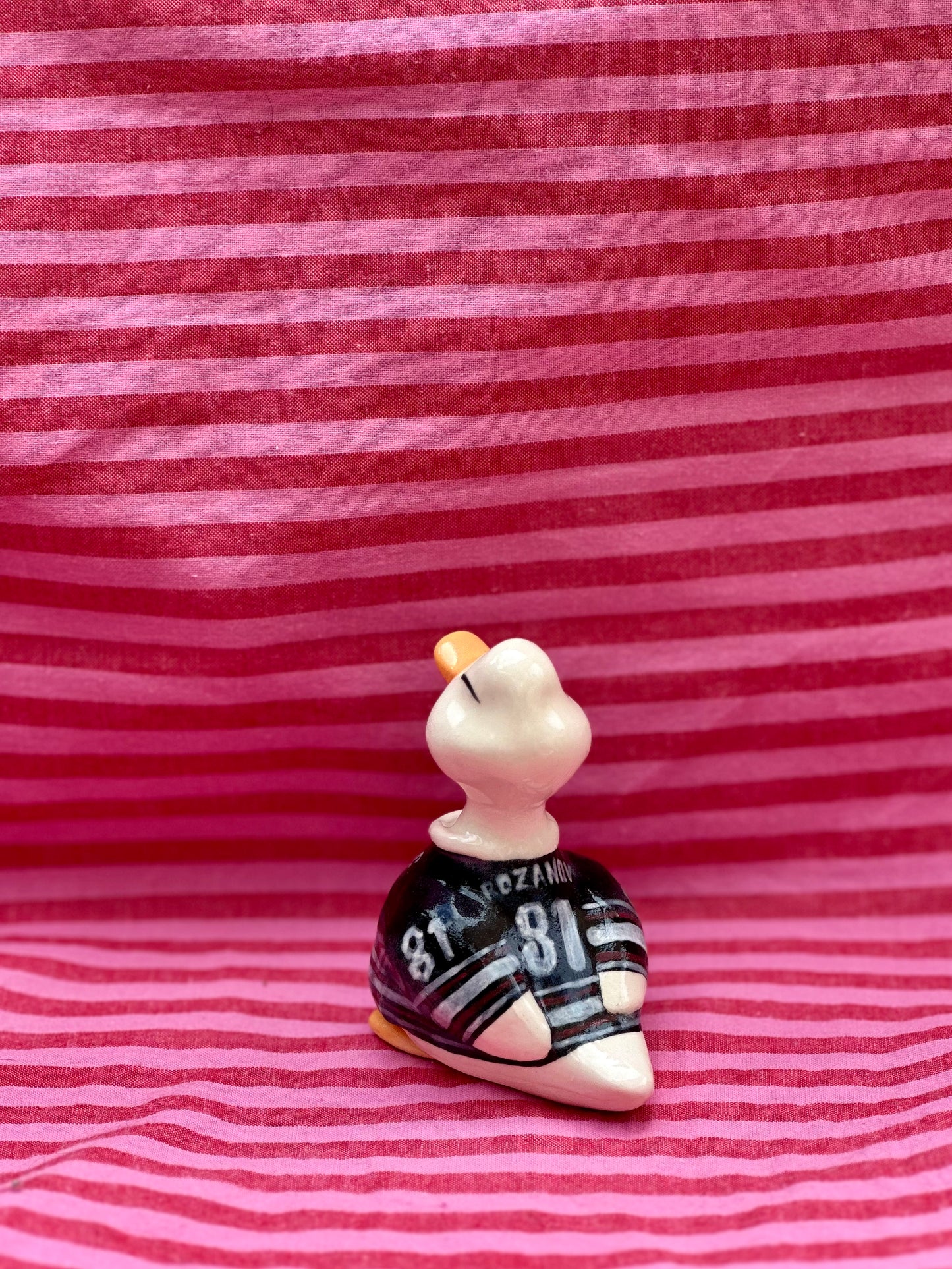 adopt a duck: rozanov no.396