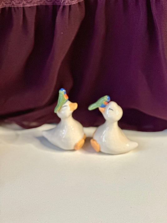 rainbow lorikeet ducks