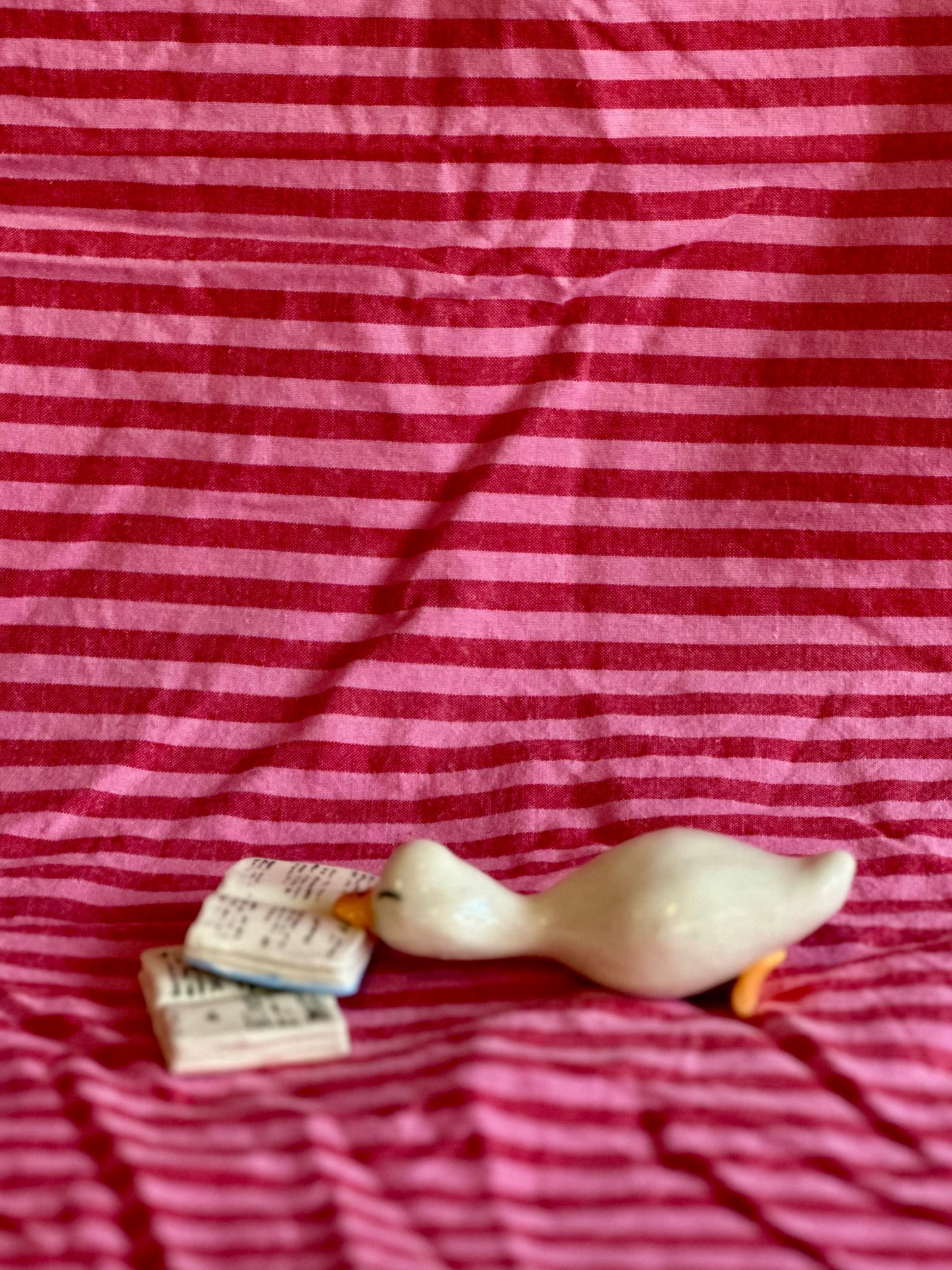 the little love ducks: audrey