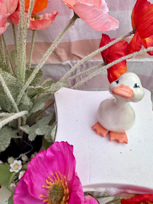 adopt a duck: august (no. 55)