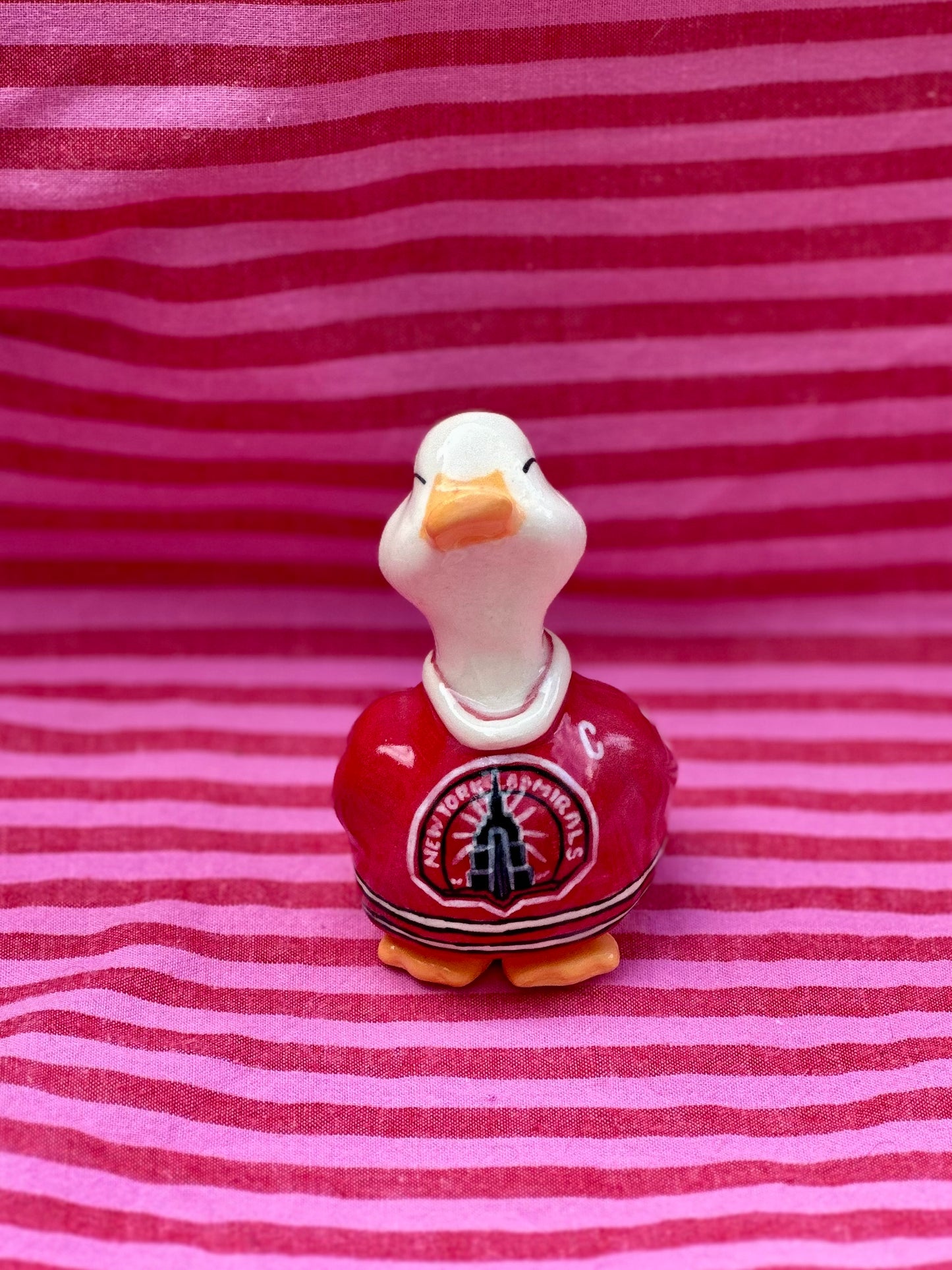 adopt a duck: hunter no.397