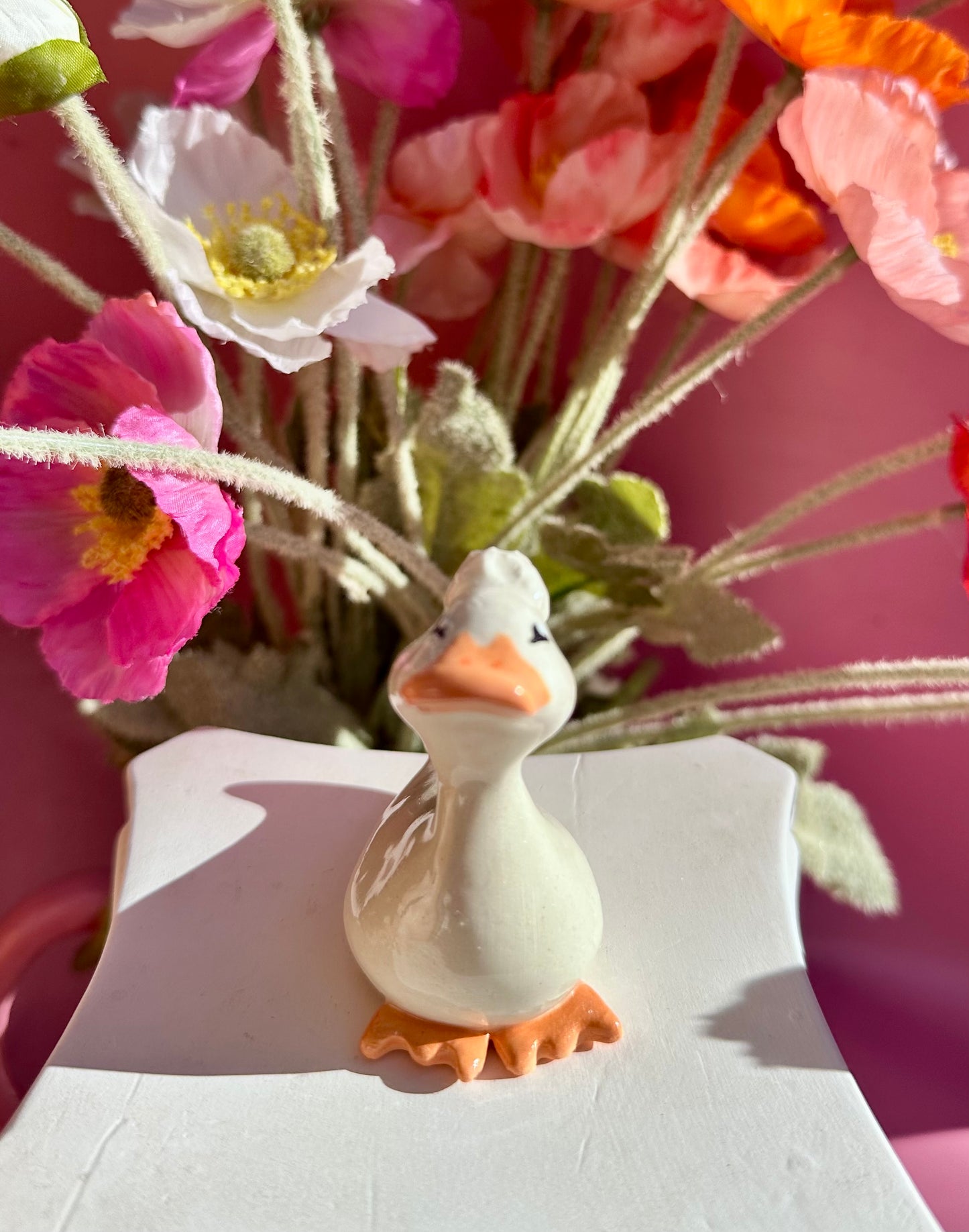 adopt a duck: pomela (no. 70)