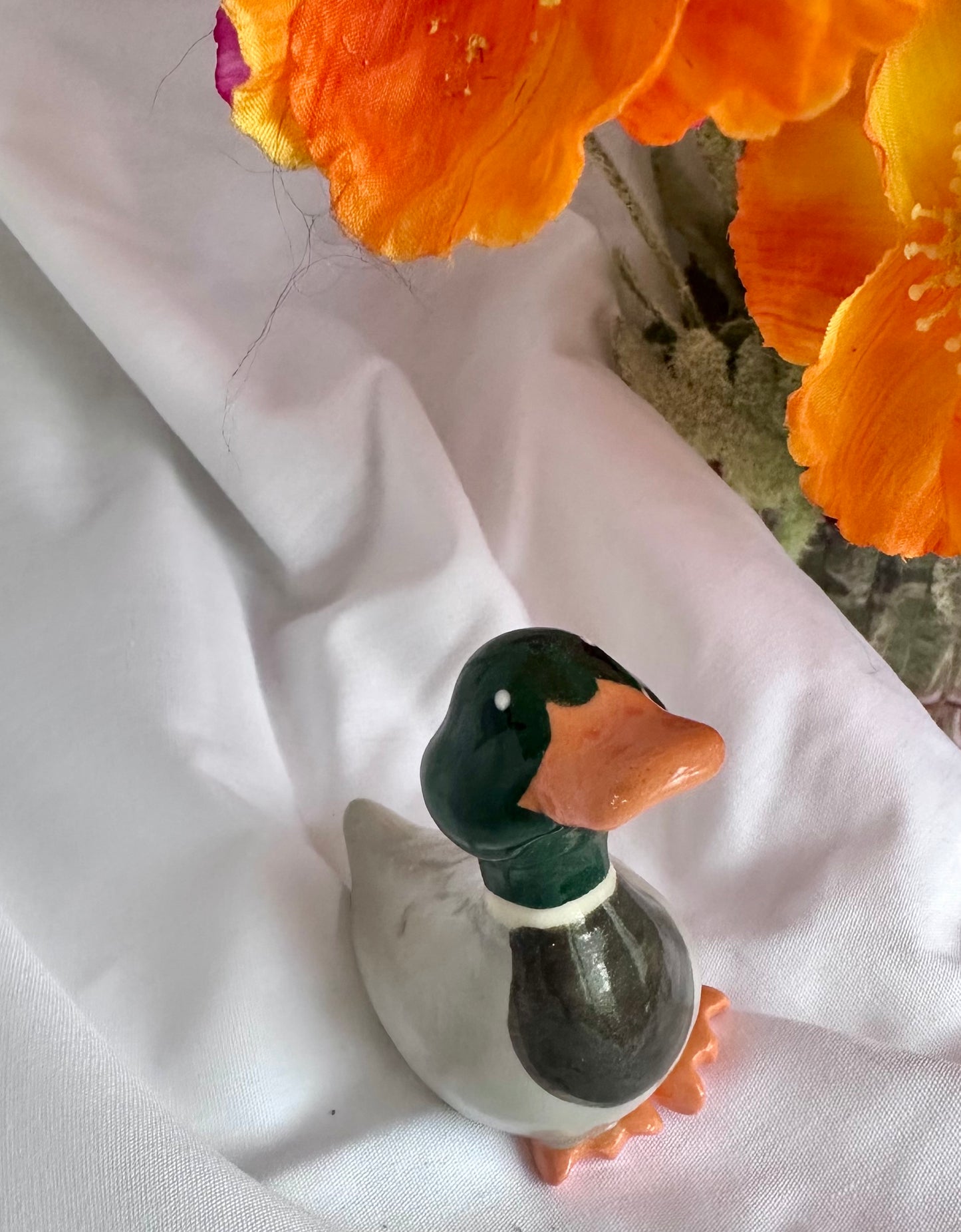 adopt a duck: teddy (no. 81)