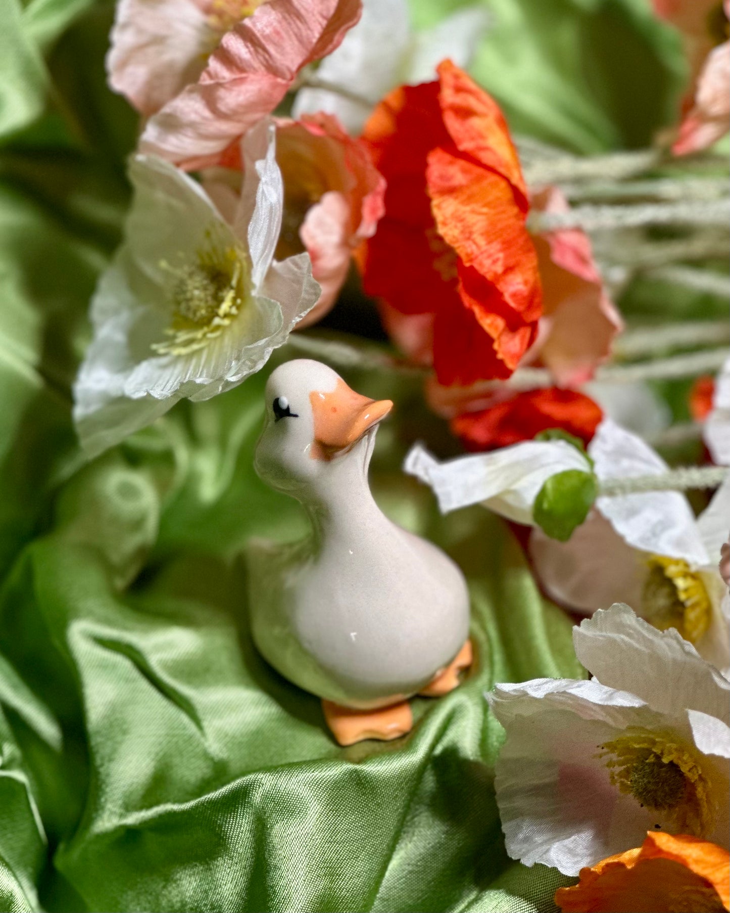 adopt a duck: sammy no.136