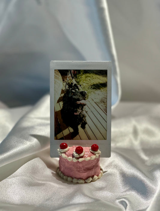 vintage cakes - polaroid/card holder