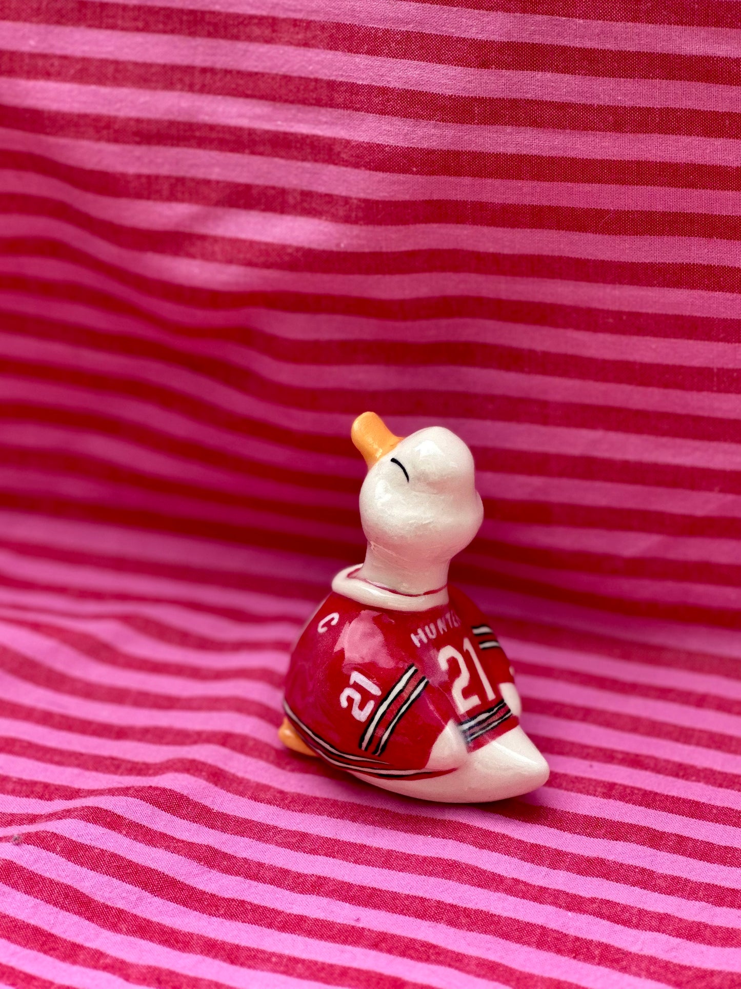 adopt a duck: hunter no.397
