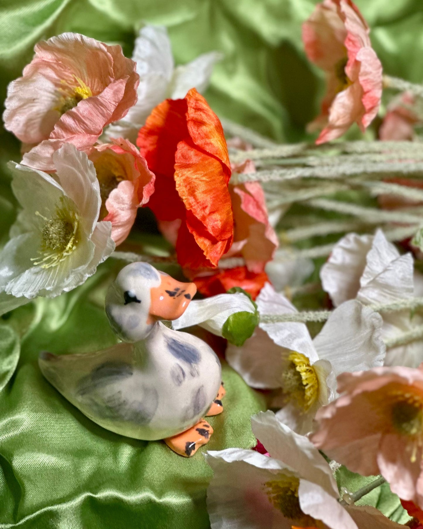 adopt a duck: piper no.131