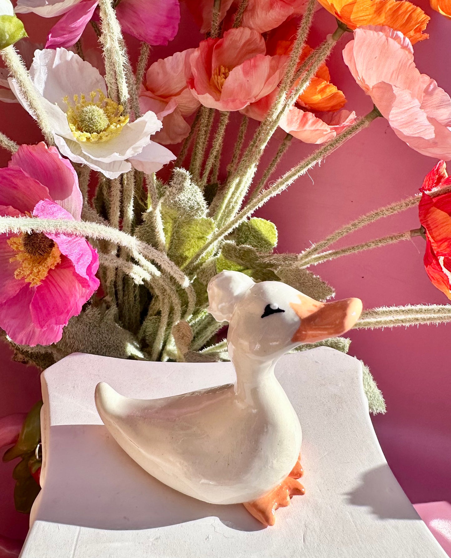 adopt a duck: pomela (no. 70)