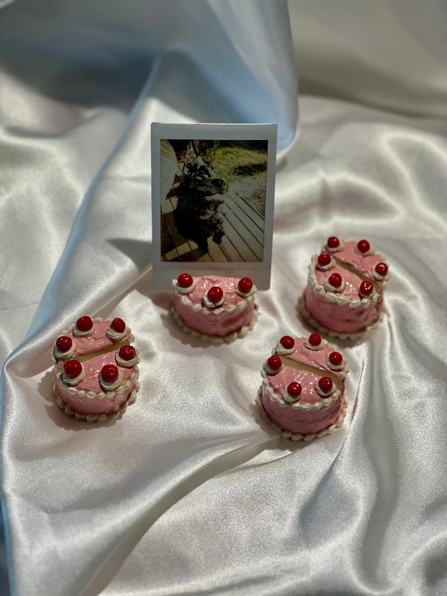 vintage cakes - polaroid/card holder