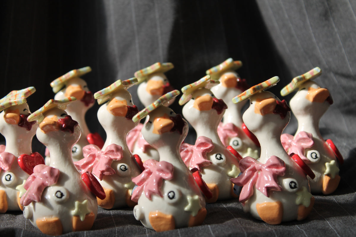 mini duck series: junk duck