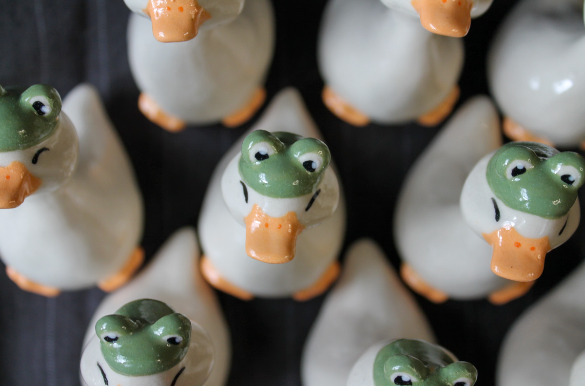 mini duck series: frog duck