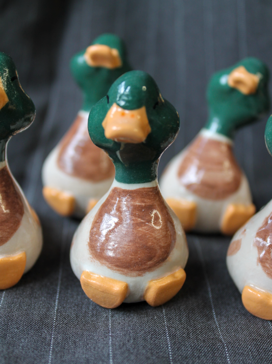 mini duck series: mallard duck