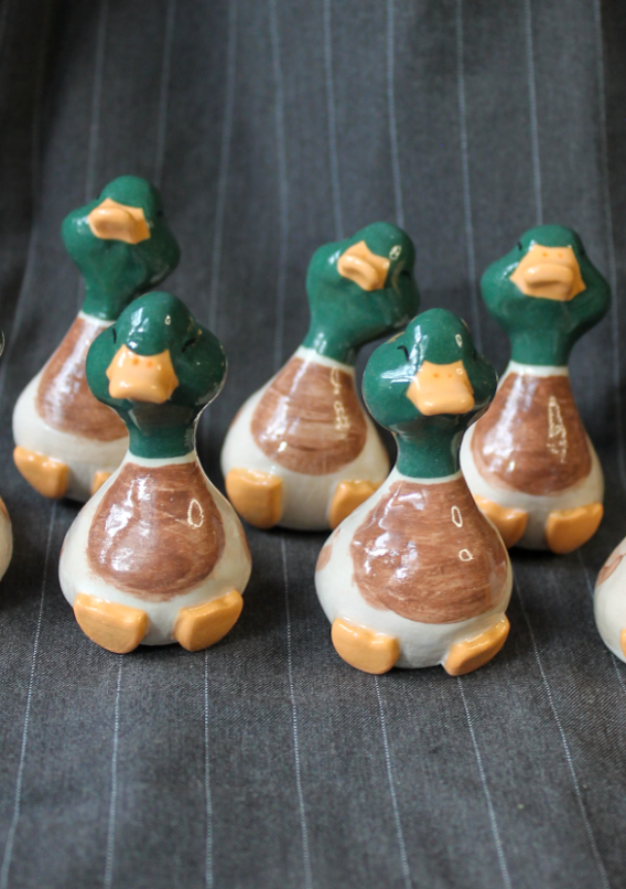 mini duck series: mallard duck