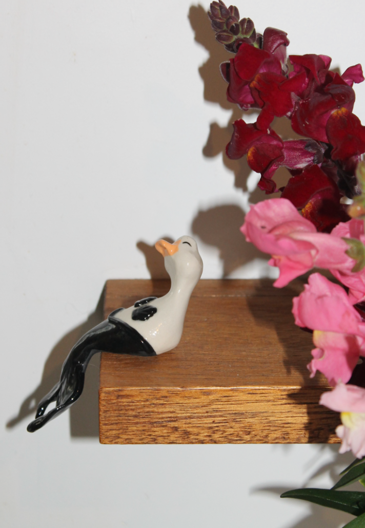 mer-duck (for shelves) #7